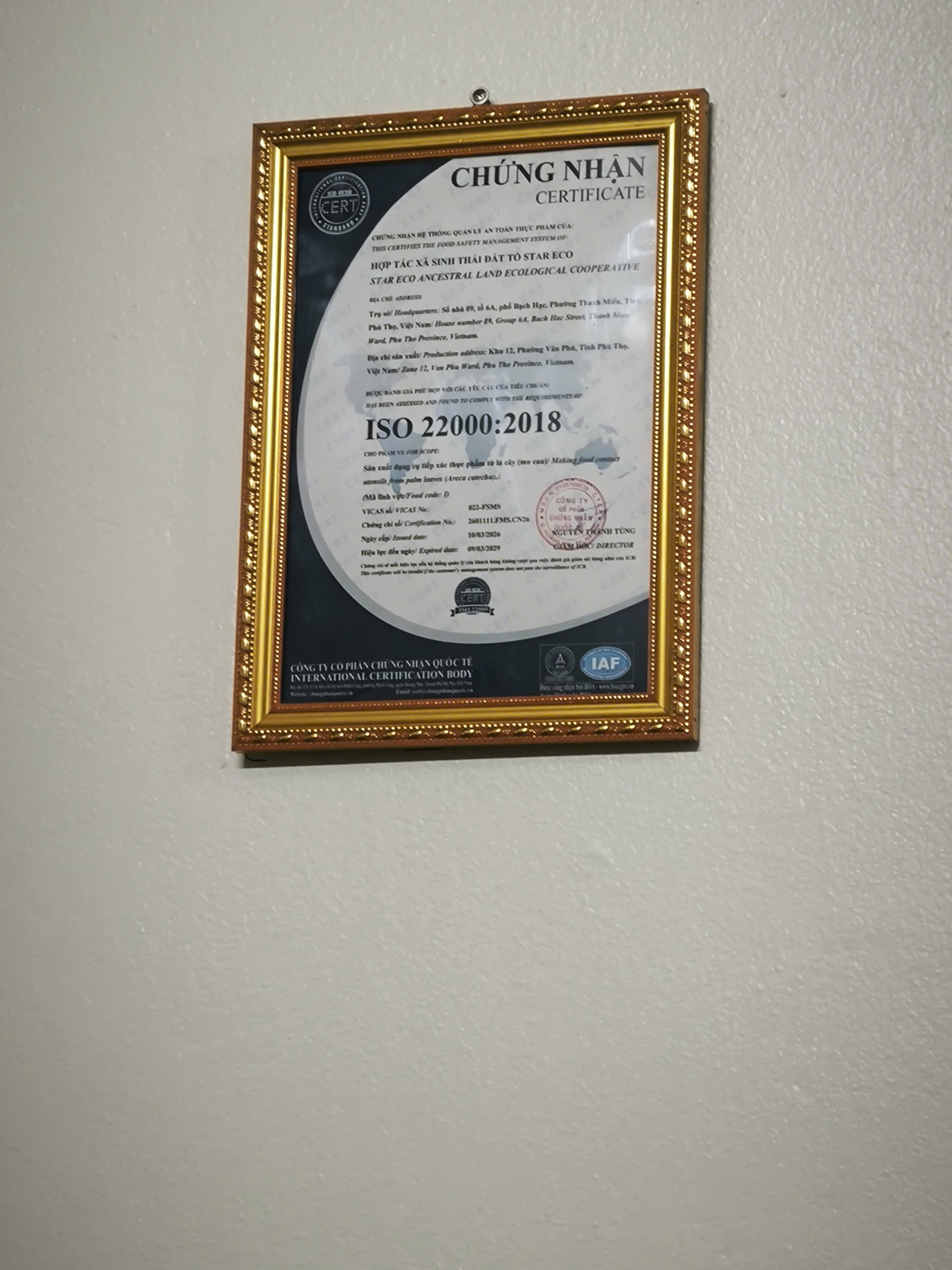 Chứng nhận ISO 22000